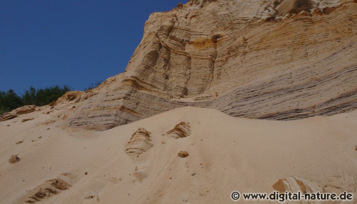 Abbruchkante in der Sandgrube