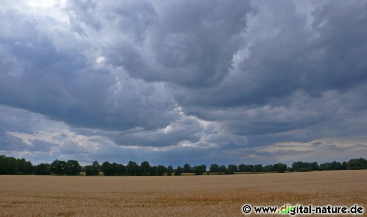 Wolkenfront