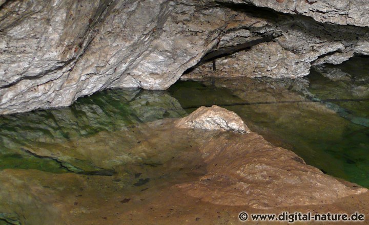 Naturlehrpfad im Naturschutzgebiet Hainholz