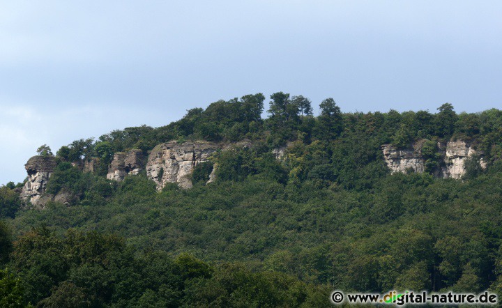 Die bis zu 50 Meter hohen Klippen bestehen aus Korallenoolith