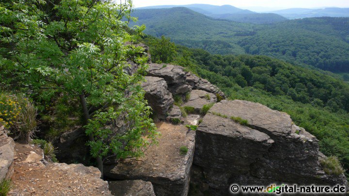 Impressionen vom Hohenstein