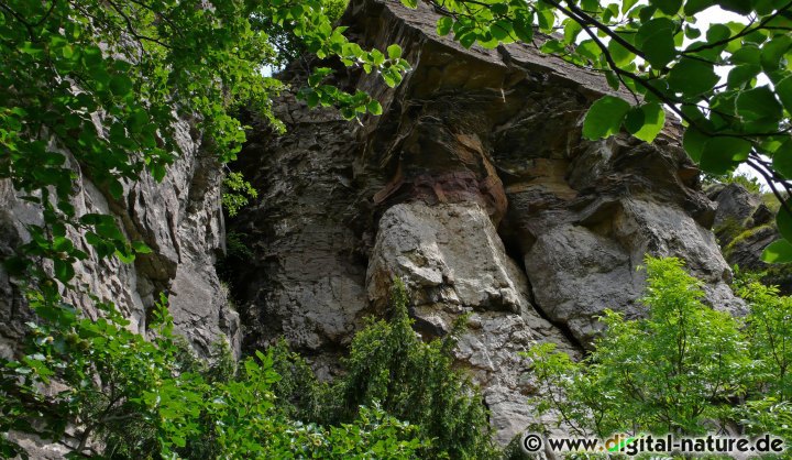 Klippen aus Korallenoolith