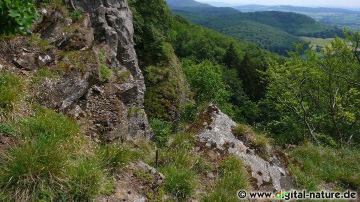 Blick vom Hohenstein Plateau