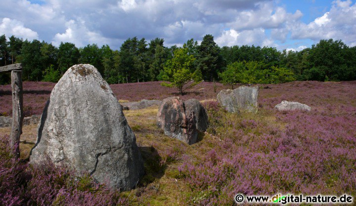 Großsteingräber in der Lüneburger Heide