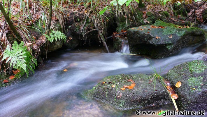 Schleiereffekt von fliessendem Wasser