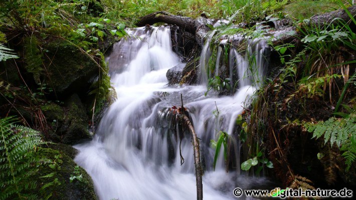 Langzeitbelichtung am Wasserfall