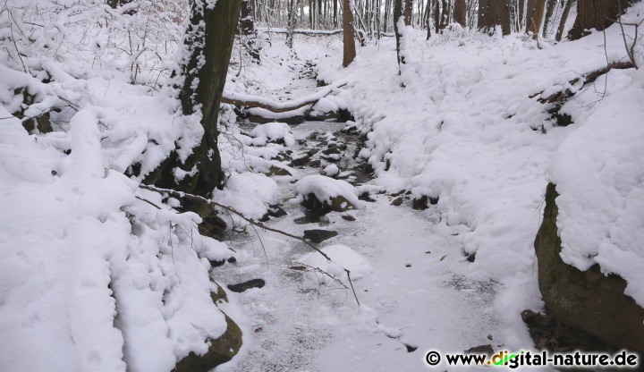 Zwischen Weserbergland und Teutoburger Wald