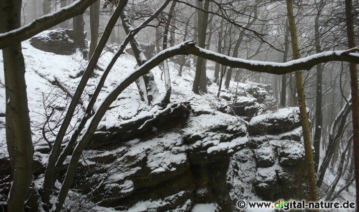 Felsen auf dem Oberberg