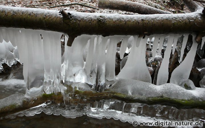 Eiszapfen im Süntel