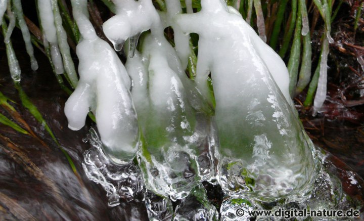 Eiswelten im Süntel