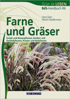 Farne und Gräser